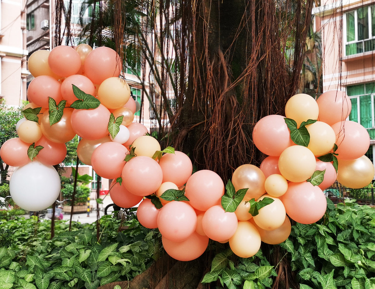 Eanjia Peach Balloon Arch Garland Kit 5-18" Peach Blush White and Champagne Balloon for Baby Shower Peach Wedding Decorations Glue Dots Balloon Stripe Tape Hooks Easy DIY for First Use