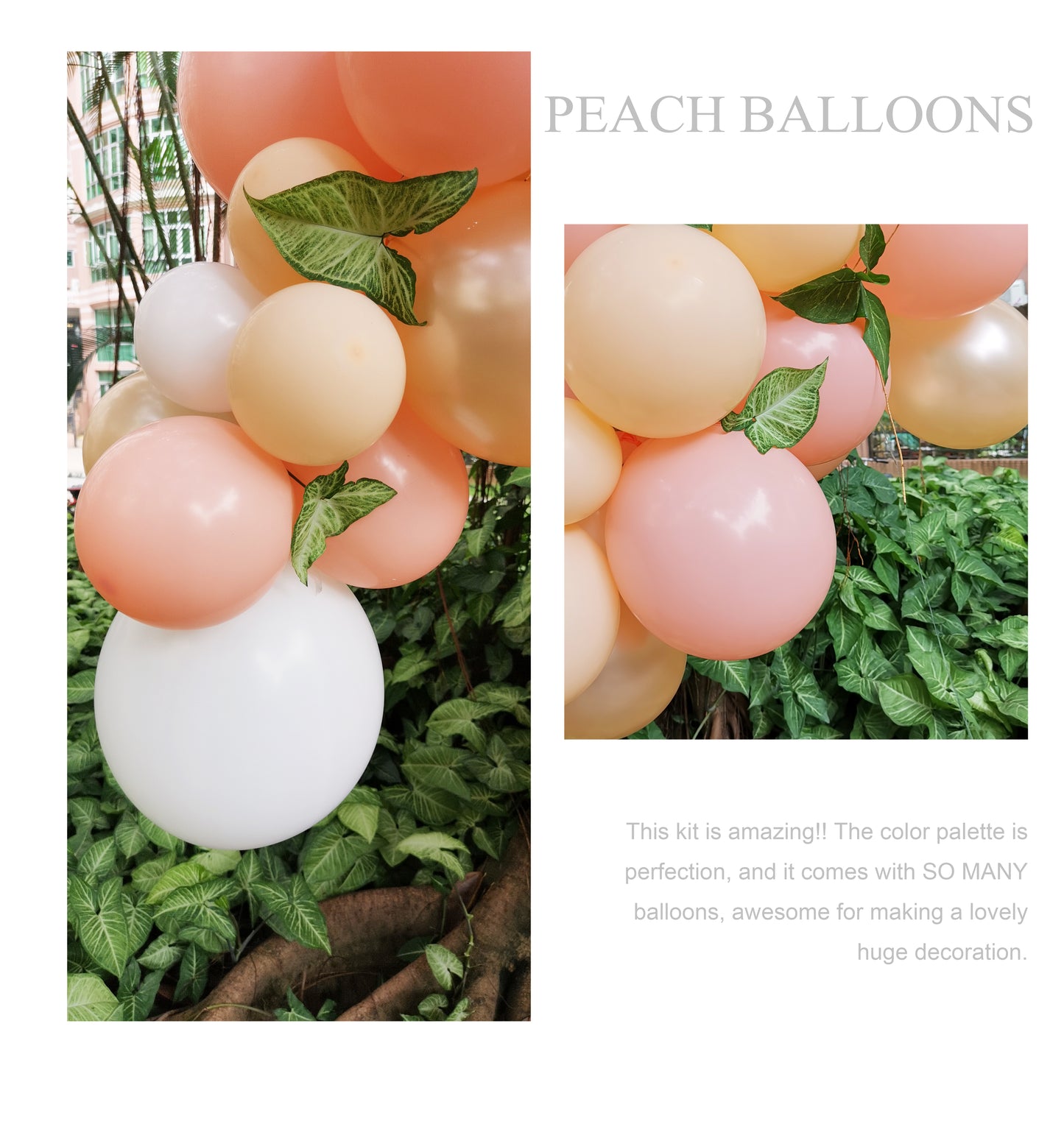 Eanjia Peach Balloon Arch Garland Kit 5-18" Peach Blush White and Champagne Balloon for Baby Shower Peach Wedding Decorations Glue Dots Balloon Stripe Tape Hooks Easy DIY for First Use